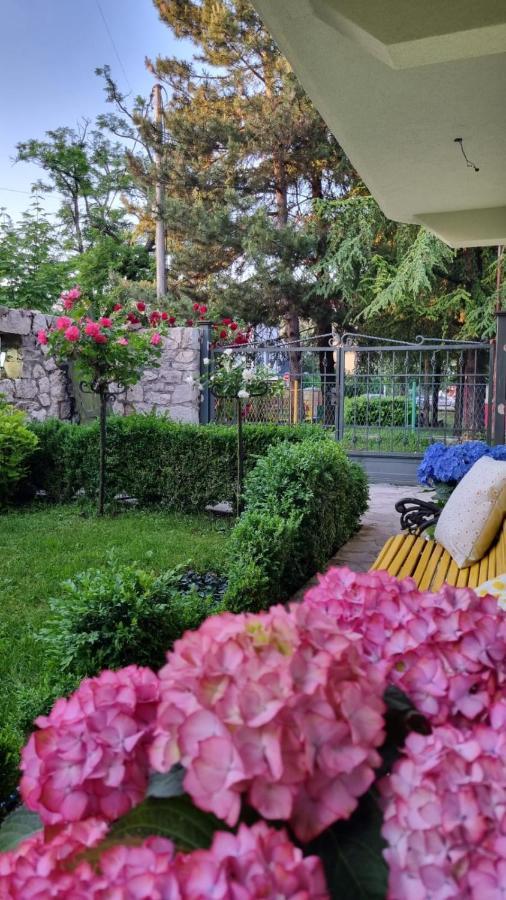 Apartman L&M Cetinje Eksteriør billede